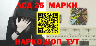 индика Кулебаки