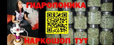 гидра Кунгур