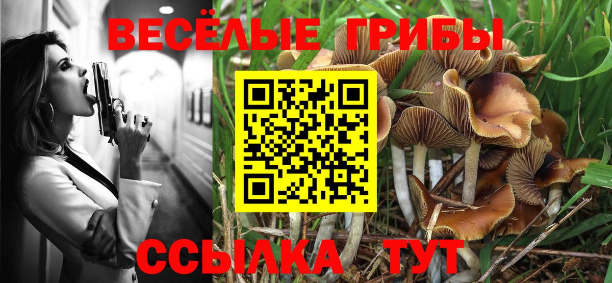 Галлюциногенные грибы Psilocybine cubensis  Псилоцибиновые грибы Magic Shrooms  Кинель  Вход с VPN 